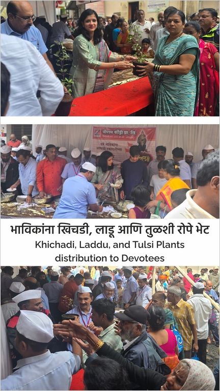 Khichdi, ladu and tulsi plants for devotees